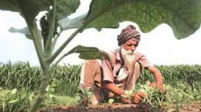 Officials argue the Bill seeks to centralise regulation, stripping states of their existing powers and reducing state-level bodies to a purely advisory role. File Photo.