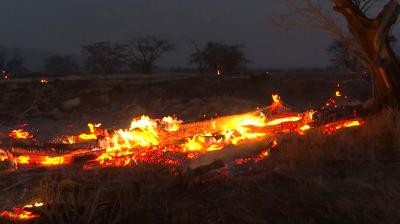 Forest Fire in Hawaii