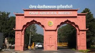 Thind emphasized that value addition and agro-processing are now required for a stable 