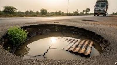 Nationally, the crisis is even more severe, with 9,438 deaths across India during the same five-year period, largely driven by high numbers in Uttar Pradesh. File Photo.