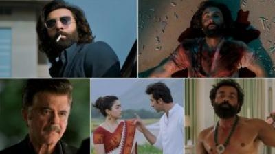 Animal Movie Star Cast Salary Animal Movie Star Cast Salary