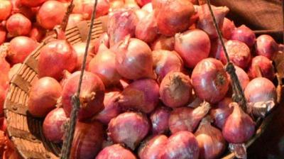 Onion 