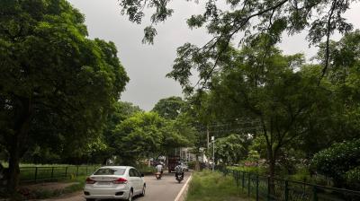 Punjab Weather Updates: Expected to Remain Pleasant Throughout the Week