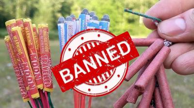 Only Green Fire Crackers Allowed in Punjab; Flipkart, Amazon Cannot Sell Fire Crackers: Punjab Govt