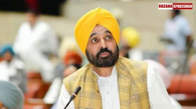 Special Subsidy Programs for Maize, Sugarcane, Cotton, and Vegetables