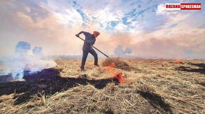 Farmers To Face Higher Environmental Fines As New Rules Hike Penalties for Stubble Burning 
