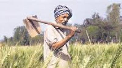 A significant portion of the potato crop had already been harvested after weather warnings were issued. File Photo.