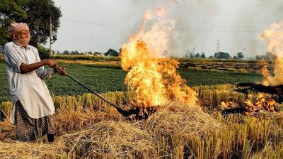 Supreme Court on Stubble Burning: "If some people are behind bars, it will send the correct message" (Image Courtesy: The United India)