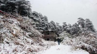 Himachal Weather Update: Here's What's IMD Says About Weather This Week 