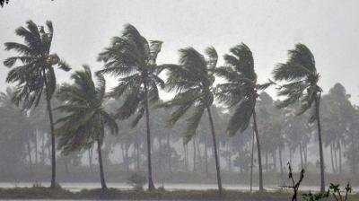 Rainfall, coupled with squally winds, lashed several parts of Odisha