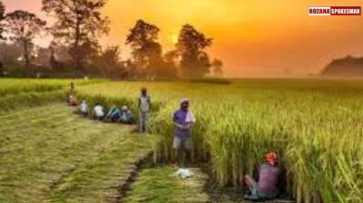 Union Budget 2024: Agriculture, FMCG sectors looking for better infra tech to assist farmers 