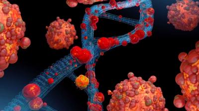 Punjab on Alert Amid HMPV Concerns; Health Minister Urges Public to Wear Masks