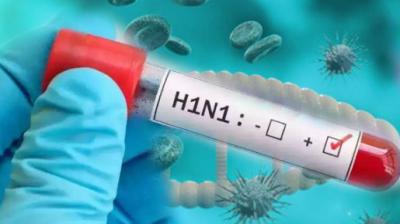 Swine Flu Alert in Punjab Swine Flu Alert in Punjab