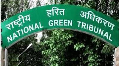 Accordingly, the NGT has asked the PPCB to submit a tabulated report within eight weeks. File Photo.