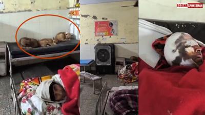 Uttar Pradesh govt hospitals collapsing and no longer safe? Yogi failing? Here's what we know