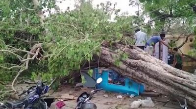 Rain-related deaths were reported