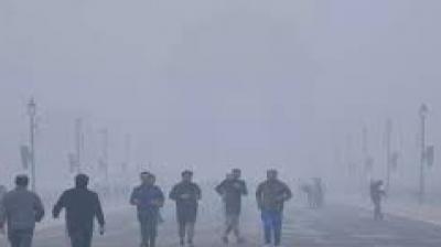 In response to the weather department's forecast of continued dense to very dense fog, major carriers also issued travel advisories. File Photo.