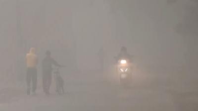 In response to the weather department's forecast of continued dense to very dense fog, major carriers also issued travel advisories. File Photo.