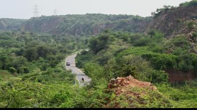 Under that definition, significant parts of the ecologically sensitive hills that lie below the 100-metre threshold could lose legal protection, raising concerns among environmentalists and opposition parties about possible exploitation for mining and development. File Photo.