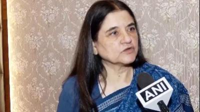 MCD Responsible for Dog Bites to Foreign Coaches, Says Animal Rights Activist Maneka Gandhi News