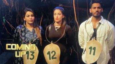 Bigg Boss 18 Double Elimination: Yamini Malhotra, Edin Rose Evicted After Digvijay Rathee's Eviction