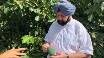 Punjab Chief Minister inspecting varieties of farm produce at the NaanDann Irrigation farms