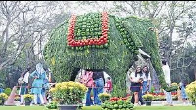 Organisers explained that more than 100 varieties of plants and flowers are on display, including special displays inspired by Japanese Ikebana. File Photo.