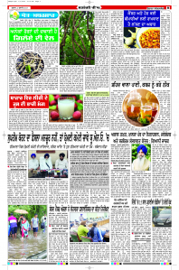 Latest Punjabi Newspaper | Punjabi News Rozana Spokesman Epaper