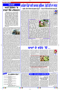 Latest Punjabi Newspaper | Punjabi News Rozana Spokesman Epaper