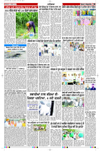 Latest Punjabi Newspaper | Punjabi News Rozana Spokesman Epaper