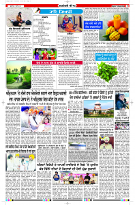 Latest Punjabi Newspaper | Punjabi News Rozana Spokesman Epaper