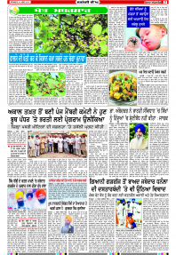 Latest Punjabi Newspaper | Punjabi News Rozana Spokesman Epaper