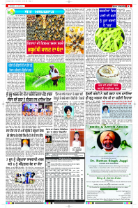 Latest Punjabi Newspaper | Punjabi News Rozana Spokesman Epaper