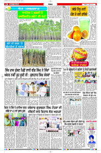 Latest Punjabi Newspaper | Punjabi News Rozana Spokesman Epaper