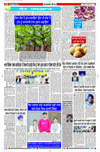 Latest Punjabi Newspaper | Punjabi News Rozana Spokesman Epaper
