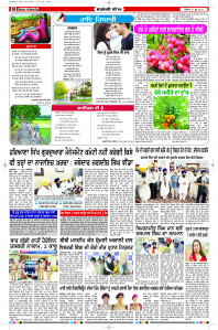 Latest Punjabi Newspaper | Punjabi News Rozana Spokesman Epaper