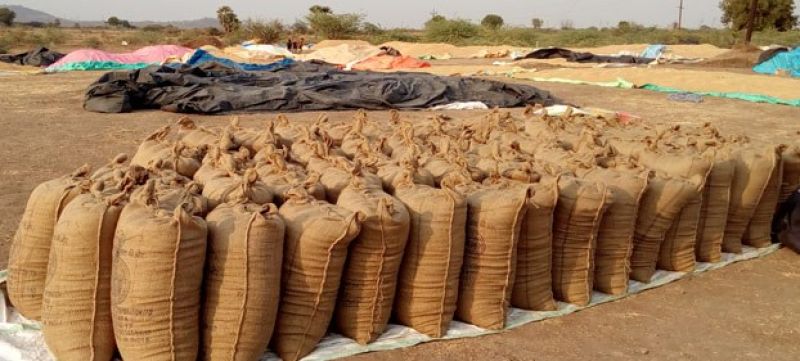 Paddy procurement 