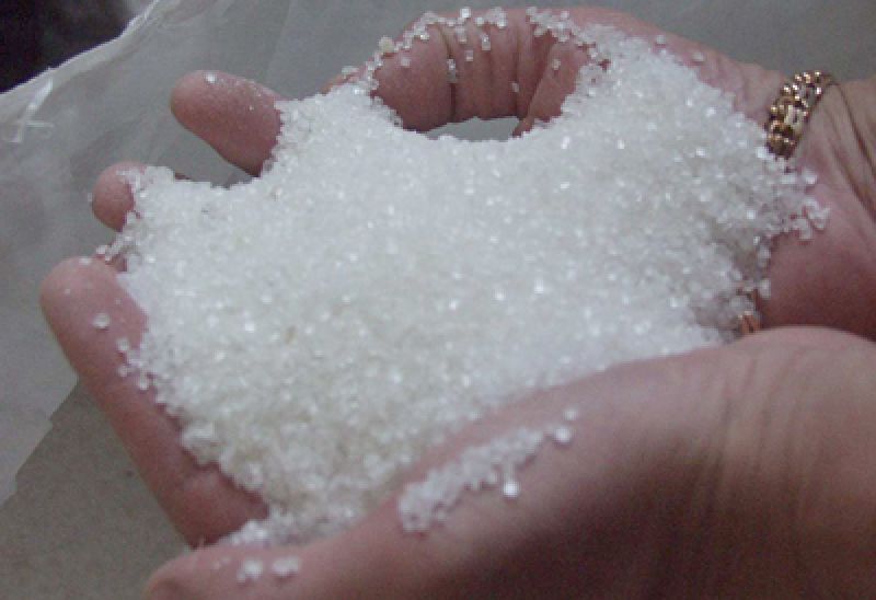 Medium sugar ruled steady in absence of any worthwhile buying activity