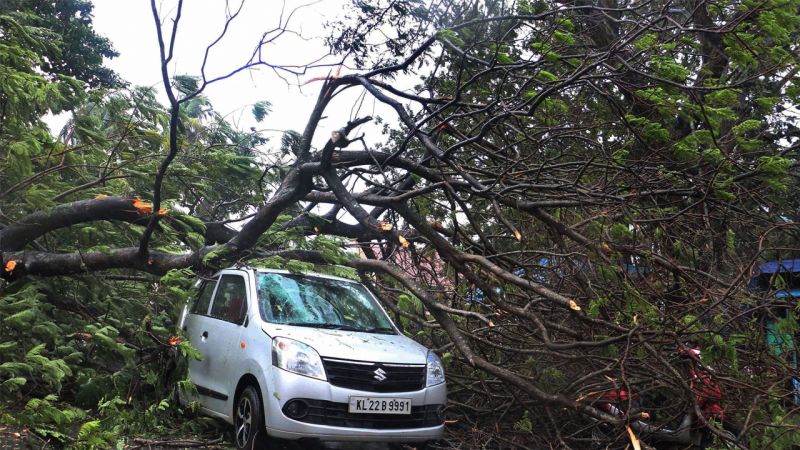 Rains accompanied by gusty winds that lashed parts of Kerala
