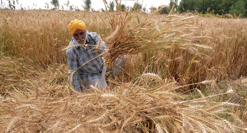 UP minister seeks relief against crop loss
