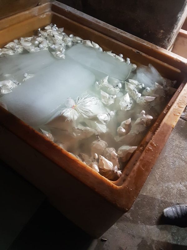 3 vehicles carrying milk were intercepted