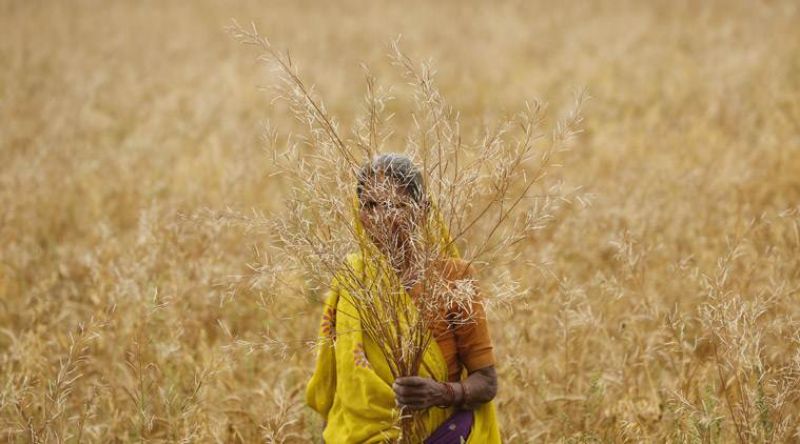 Pradhan Mantri Kisan Samman Nidhi