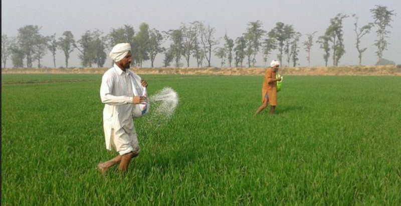 Punjab worked hard on green revolution to provide food security to the nation