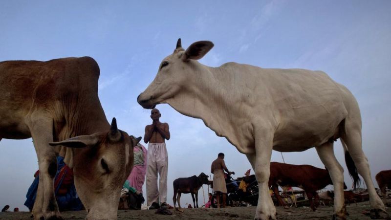 Crime can stop if people don't eat cow meat: RSS leader