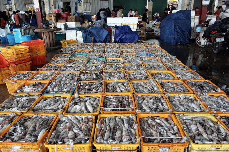 B'deshi exporters resume fish supply to Tripura