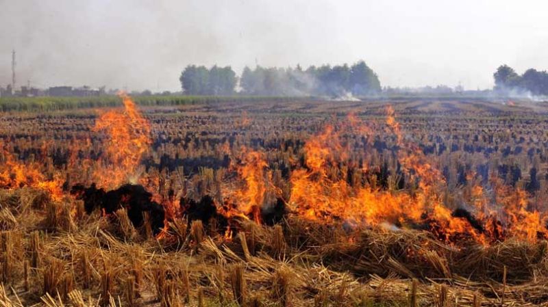 Farmers will burn the stubble if they do not get the equipment