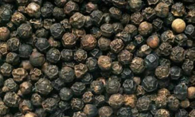 Copra Rajapur Mumbai rose by Rs 800 per quintal