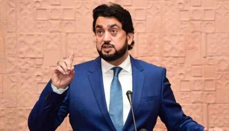 Pakistan's Interior Minister Shehryar Khan Afridi