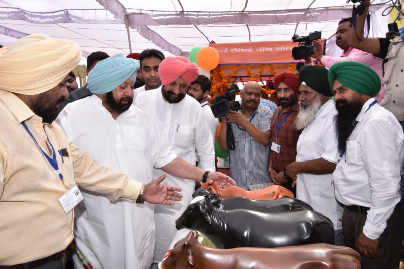 Punjab CM Pays Homage to Mahatma Gandhi