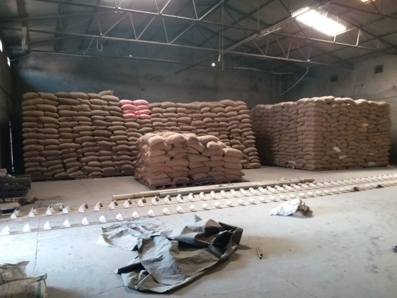 Strict action to be initiated against millers guilty of fictitious billing